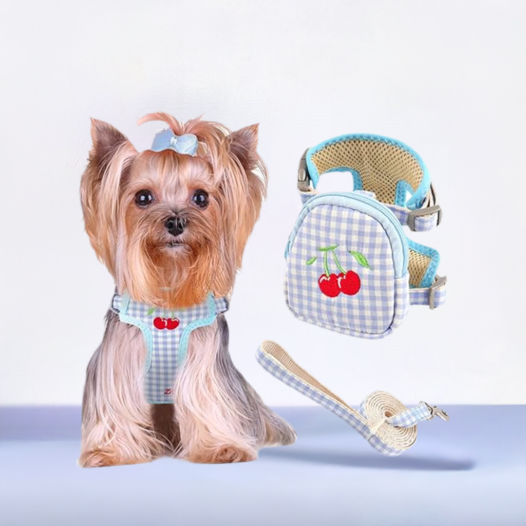 Cute fashion small dog harness