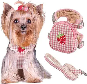 Cute Strawberry Harness with Mini Backpack